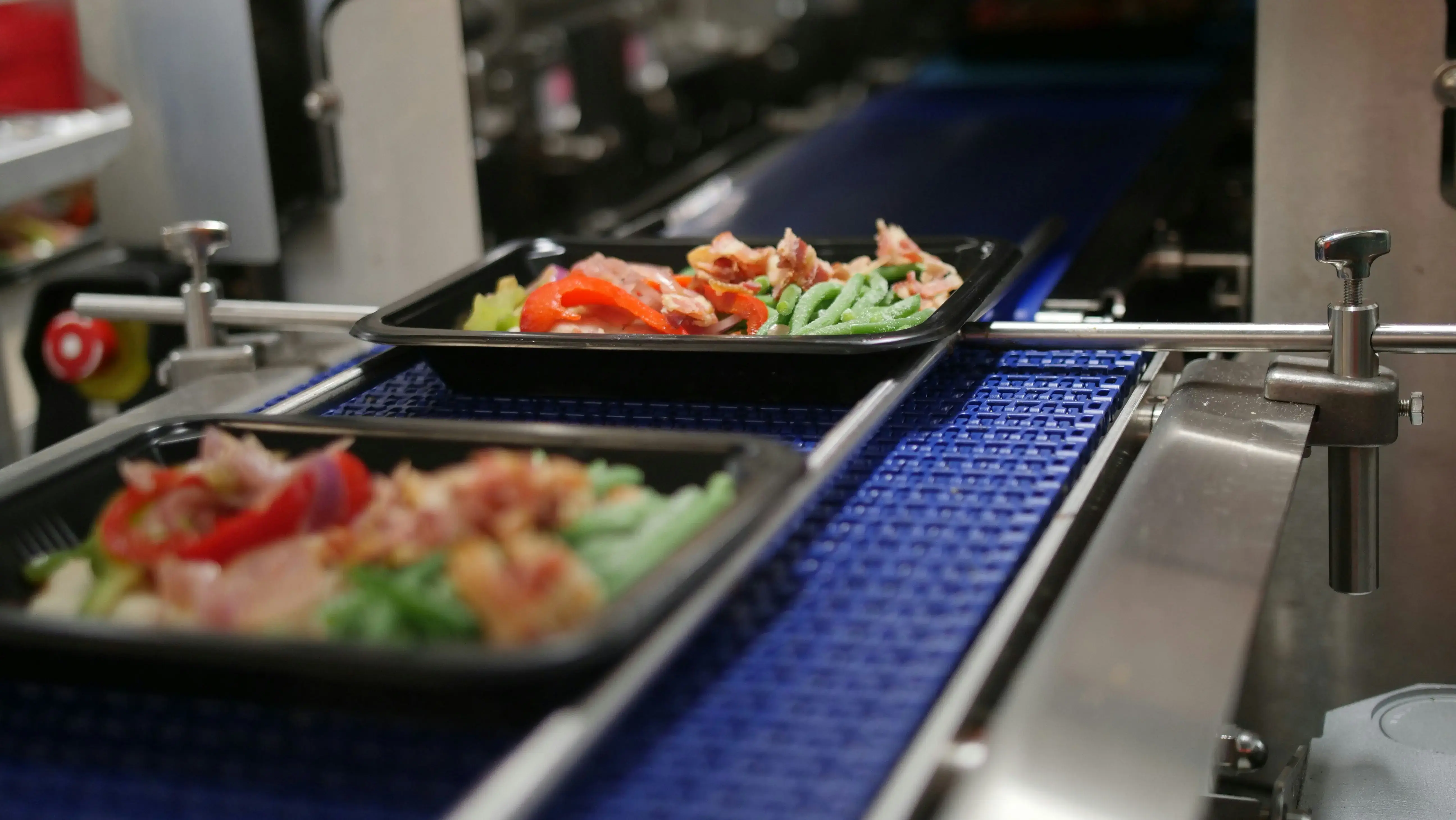 meals conveyorbelt machine