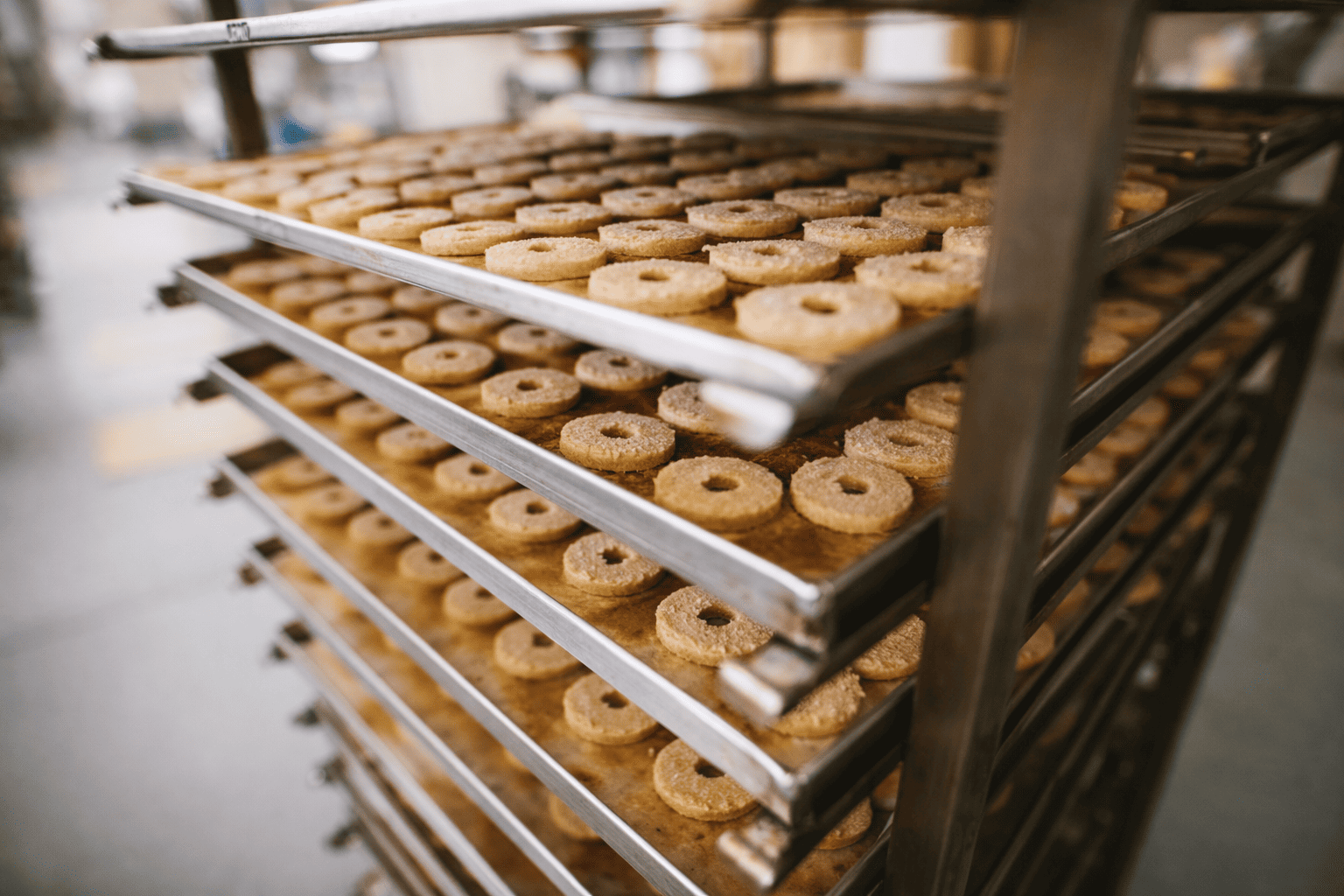 bakkery cookies