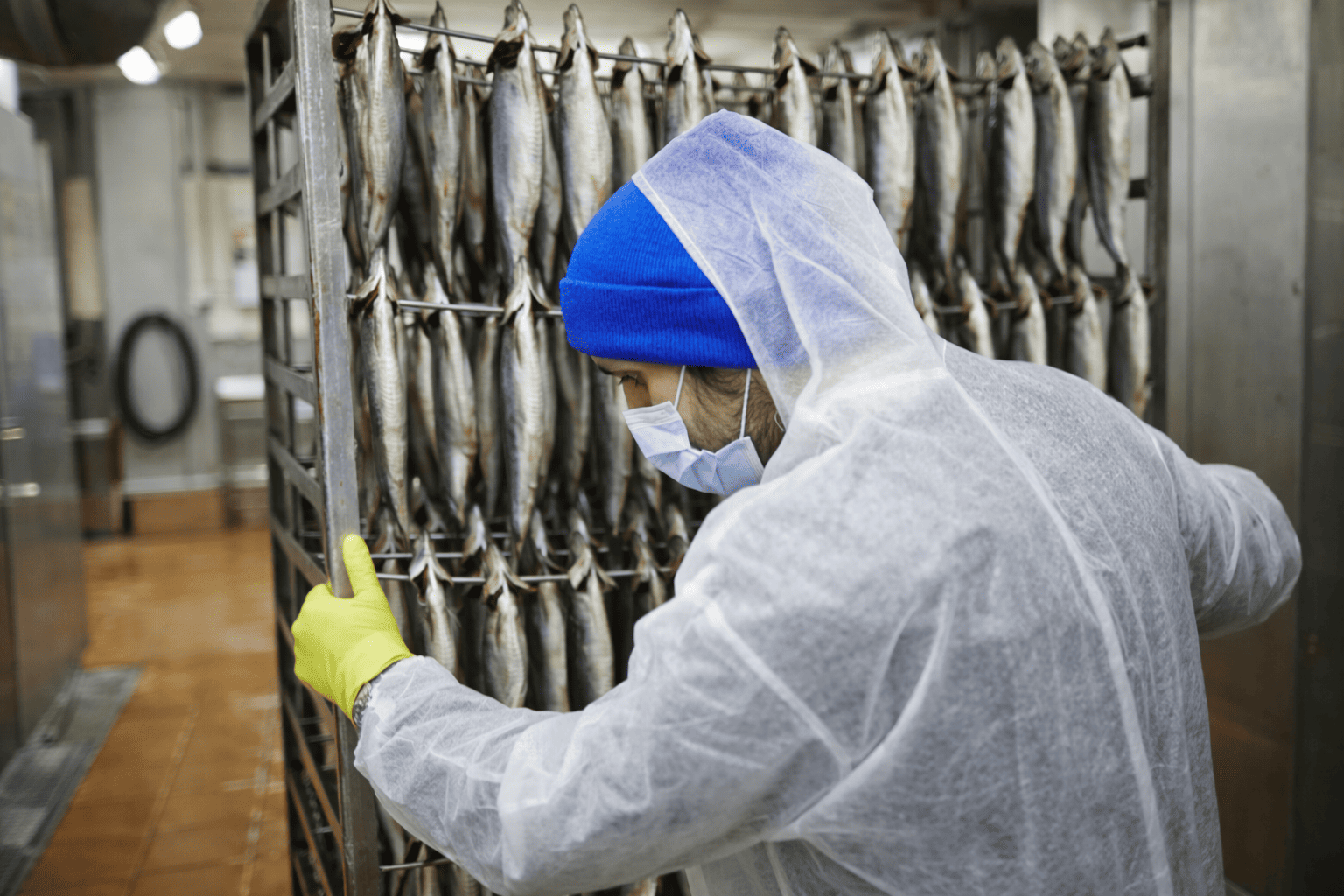 fish smokery overall